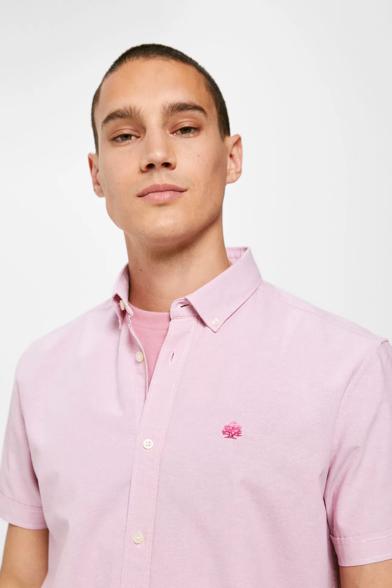 Online Camisa Pinpoint Hombre Camisas